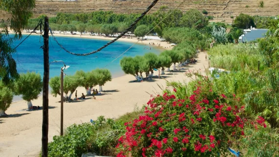 Strand med blomster på Serifos